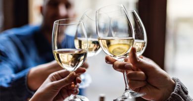 Tudo sobre Vinhos de Mesa e Finos Tudo sobre Vinhos de Mesa e Finos