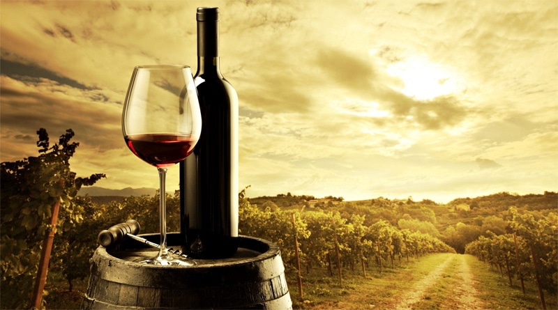 Vamos falar de vinhos?