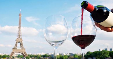 Tudo que você precisa saber sobre vinhos franceses Tudo que você precisa saber sobre vinhos franceses