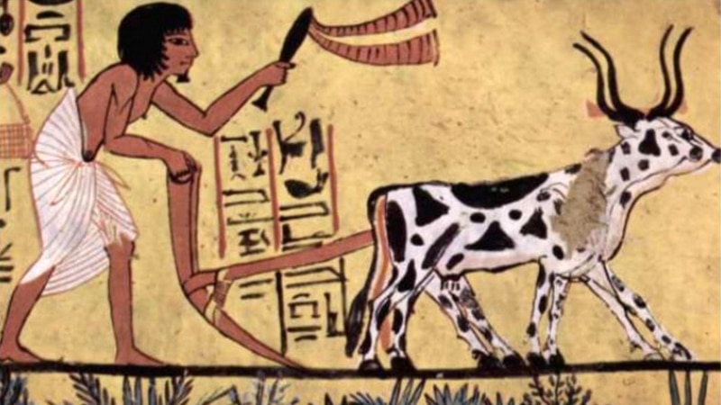 Egito Antigo (3.500 A.C. – 1.100 A.C.): Cultura e Gastronomia