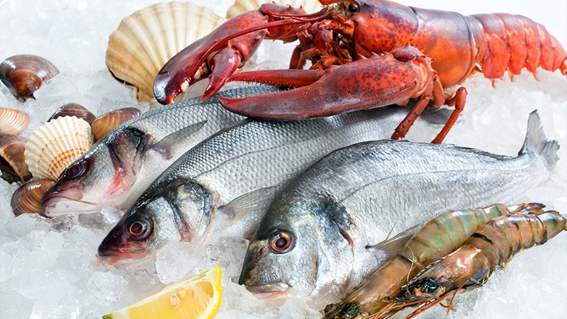 Verificação de frescor em Peixes e Frutos do Mar