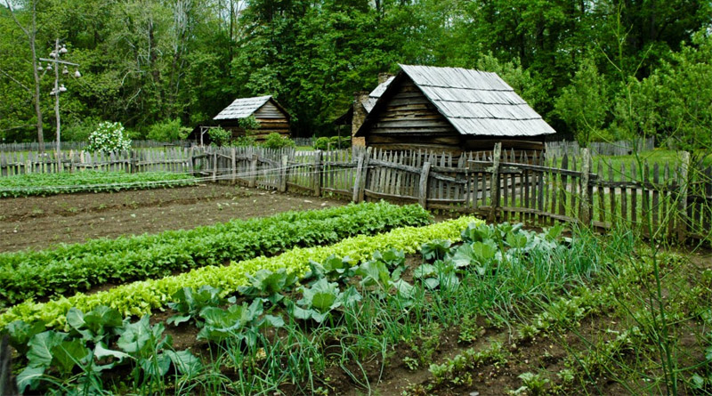 Empreendedores revolucionam cozinha com gastronomia consciente