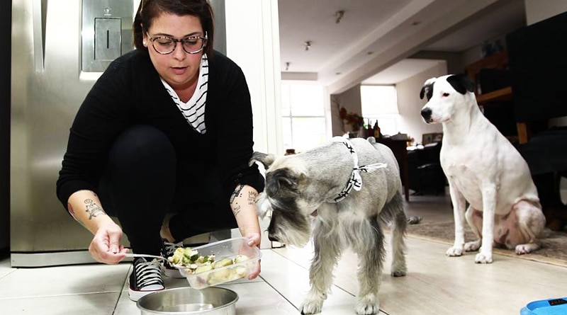 Comida 'à la Bela Gil' para pets fitness