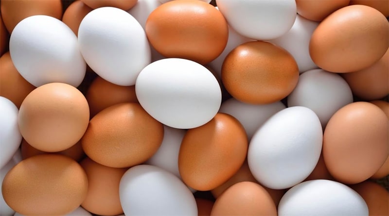 10 mitos à mesa. Comer ovos aumenta o colesterol?