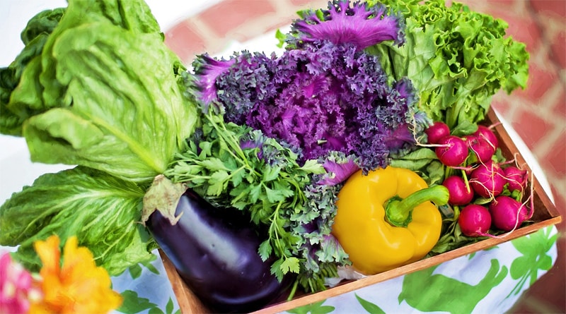 1º Dia Mundial da Gastronomia Sustentável