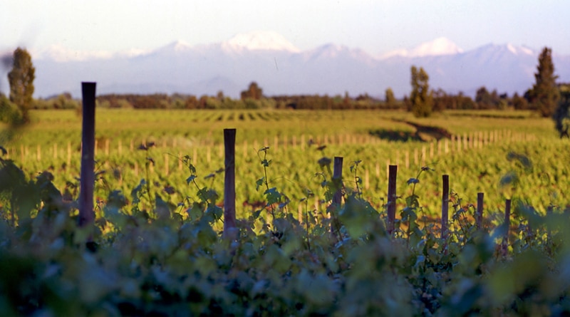 BEV Group apresenta os vinhos chilenos Casa Donoso