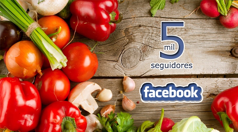 Sabor à Vida Gastronomia atinge marca de 5 mil seguidores no Facebook