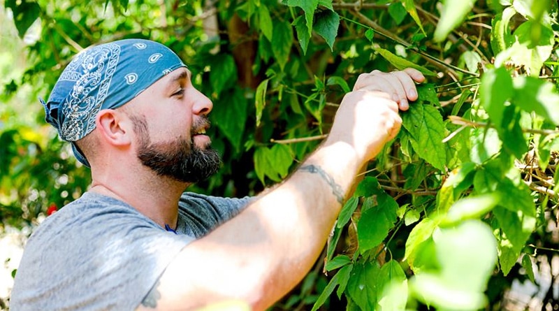 Chef Andrew Monk transforma comida em notas musicais