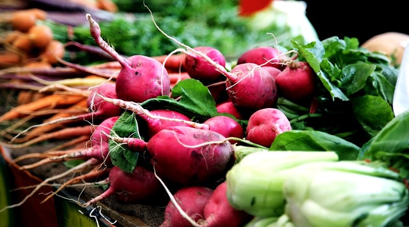 Curso de aproveitamento de alimentos é realizado no CEUNSP