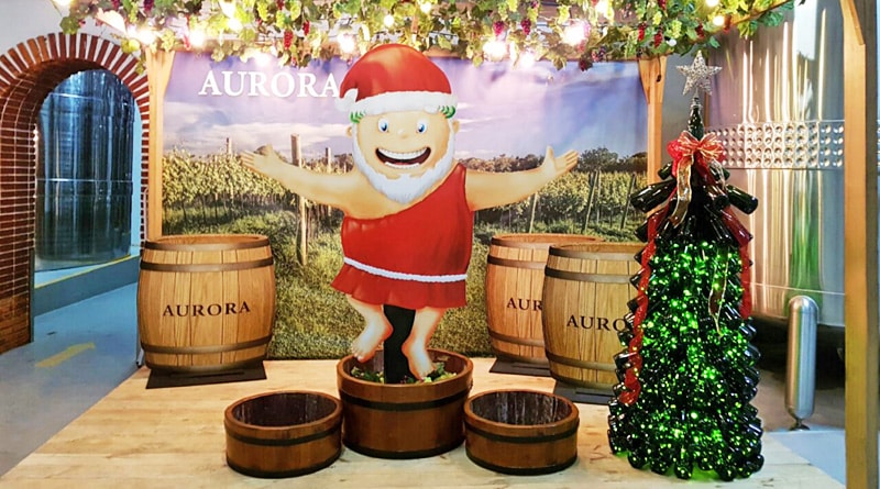 Vinícola Aurora abre as portas para a sétima edição do Natal di Bacco
