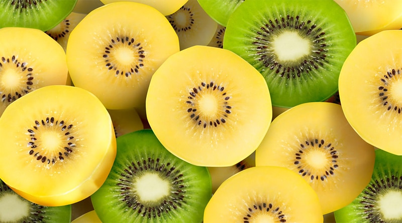 Você conhece o kiwi gold?