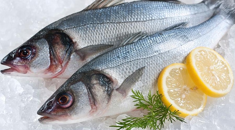 Cuidados que devem ser tomados na hora de comprar peixe na Semana Santa
