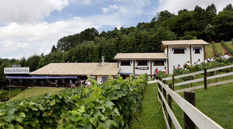 Quinta do Olivardo de São Roque promove 1º Festival do Chopp