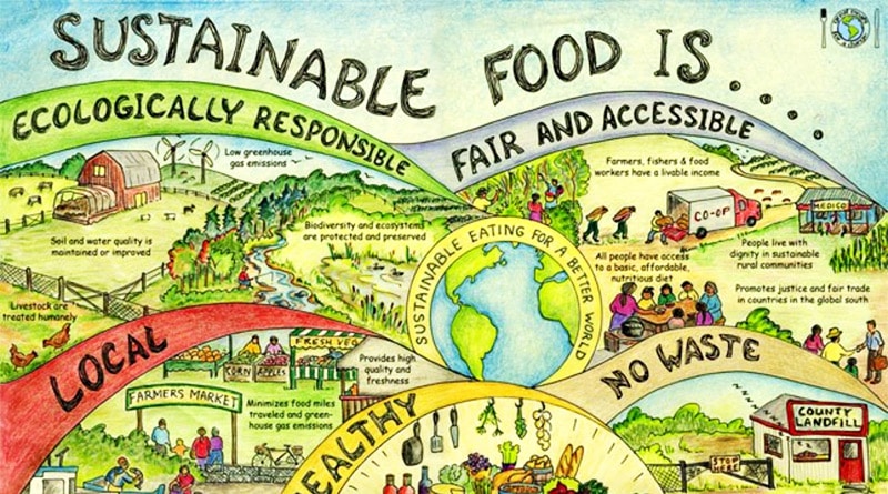 Alimentação x Impacto Ambiental: o minimalismo pode ser um caminho