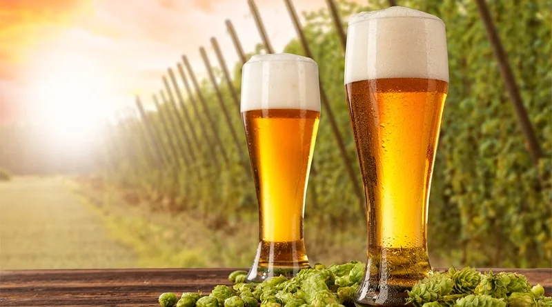 Confraria Hallertau celebra a primavera com cervejas especiais