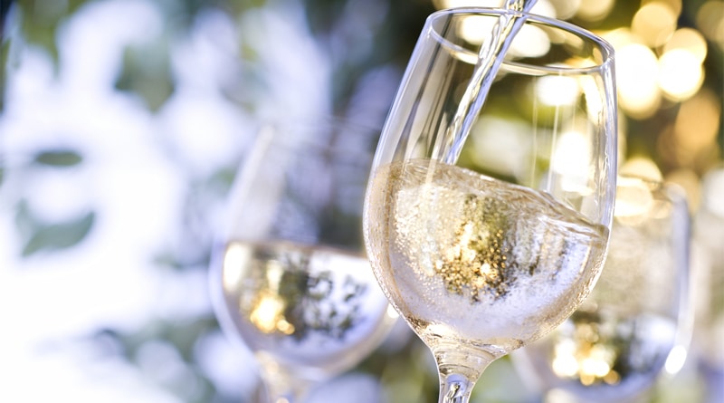 Conheça harmonizações de vinhos ideais para um cardápio vegano
