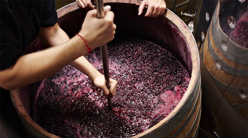 Tudo o que você precisa saber sobre vinho seco
