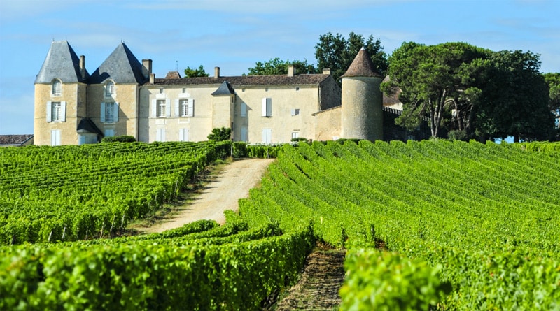 Tudo que você precisa saber sobre vinhos franceses