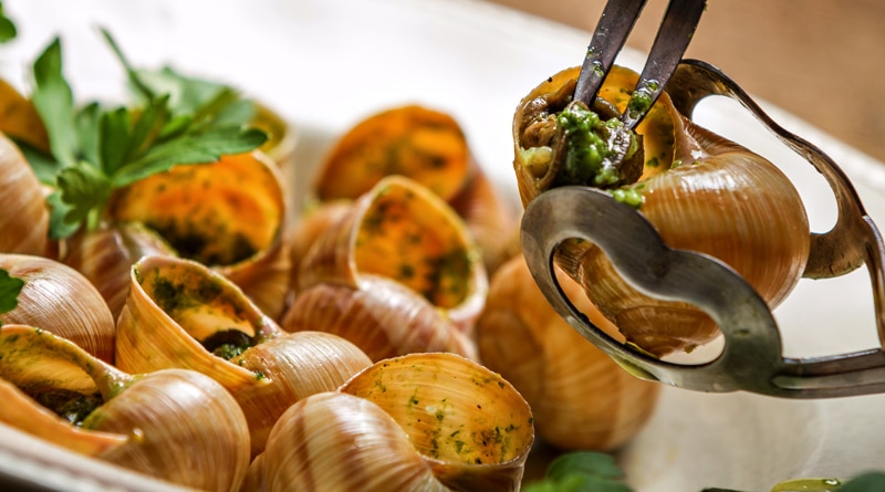 A cozinha francesa e suas técnicas mundialmente difundidas