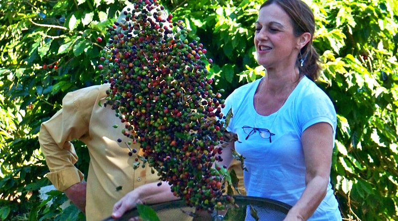 Dia das Mães: tour especial "Do Cafezal ao Cafezinho" ocorre dia 11 de maio