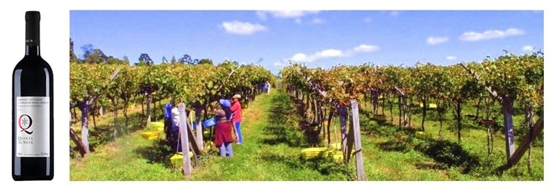 Serra Catarinense: bons vinhos e belas paisagens