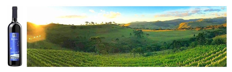 Serra Catarinense: bons vinhos e belas paisagens