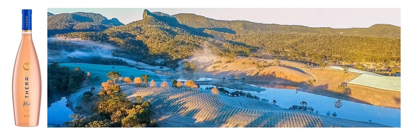 Serra Catarinense: bons vinhos e belas paisagens