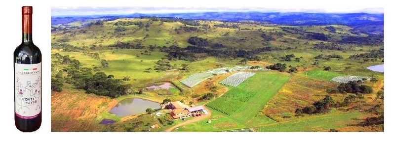 Serra Catarinense: bons vinhos e belas paisagens