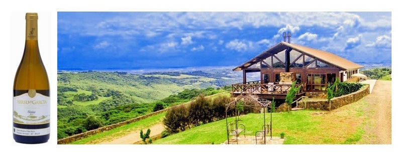 Serra Catarinense: bons vinhos e belas paisagens