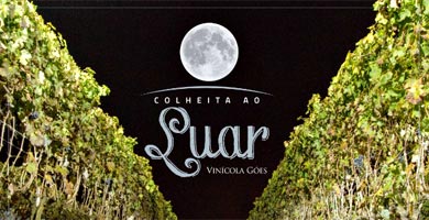 Colheita ao Luar da Vinícola Góes em São Roque acontece em junho
