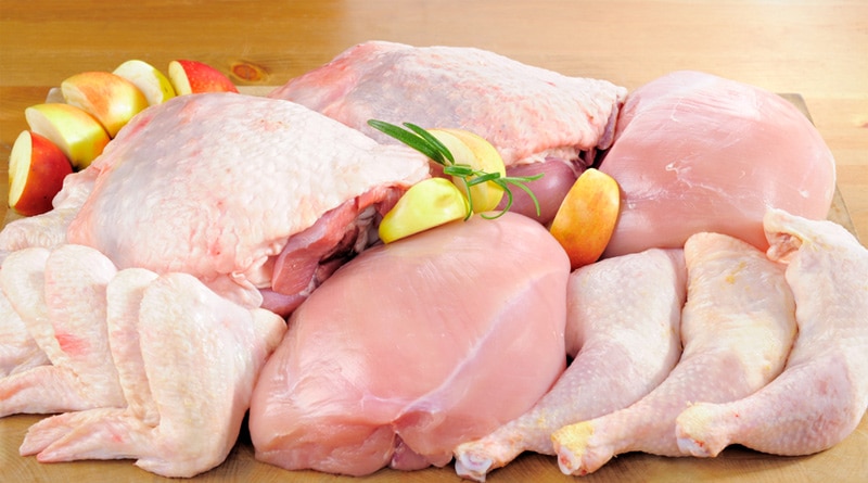 Hormônio na carne do frango: uma mentira a ser esclarecida à população