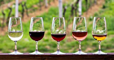 O guia completo sobre os vinhos da África do Sul O guia completo sobre os vinhos da África do Sul