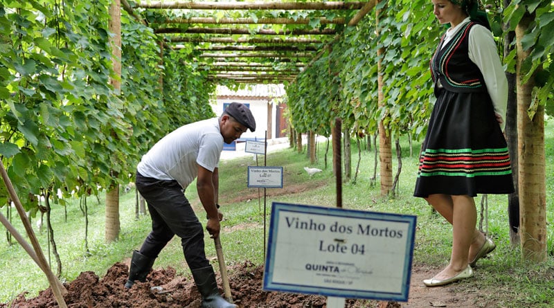 Quinta do Olivardo em São Roque realiza Jantar do Vinho dos Mortos