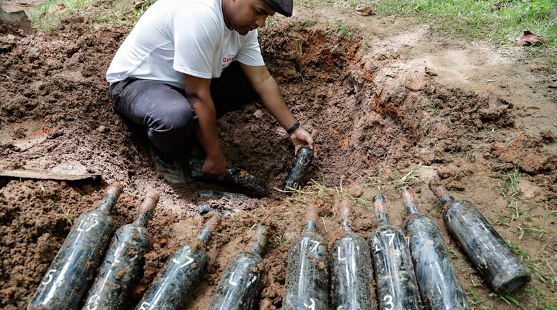 Quinta do Olivardo em São Roque realiza Jantar do Vinho dos Mortos