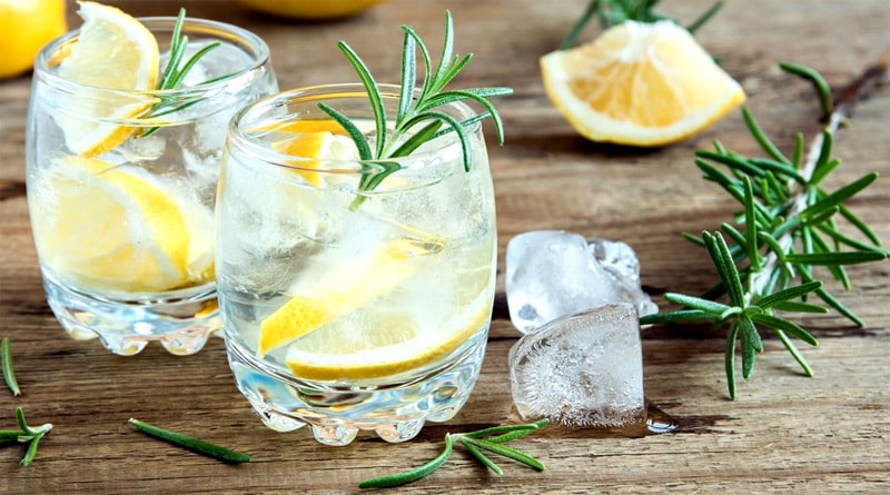 Gin: confira mitos e verdades dessa bebida