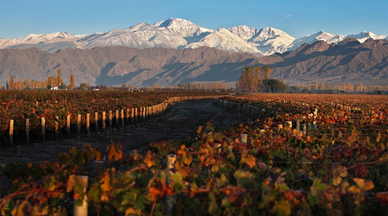 São Paulo recebe 3º Festival Wines of Argentina