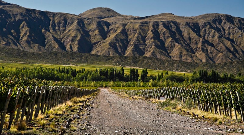 São Paulo recebe 3º Festival Wines of Argentina