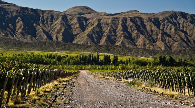 São Paulo recebe 3º Festival Wines of Argentina