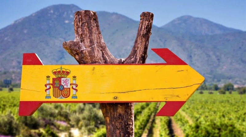 Vinhos espanhóis: um guia pelos sabores da Espanha