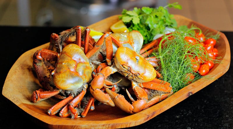 Começa em SP a Edição de Verão do Festival do Pescado e Frutos do Mar Ceagesp