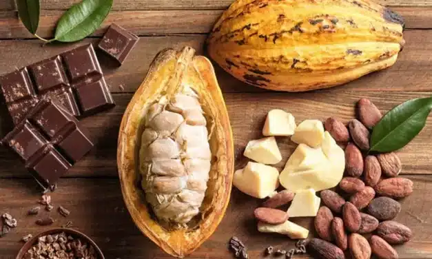 Dia Mundial do Chocolate: conheça 5 curiosidades sobre sua produção