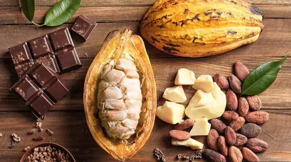 Dia Mundial do Chocolate: conheça 5 curiosidades sobre sua produção
