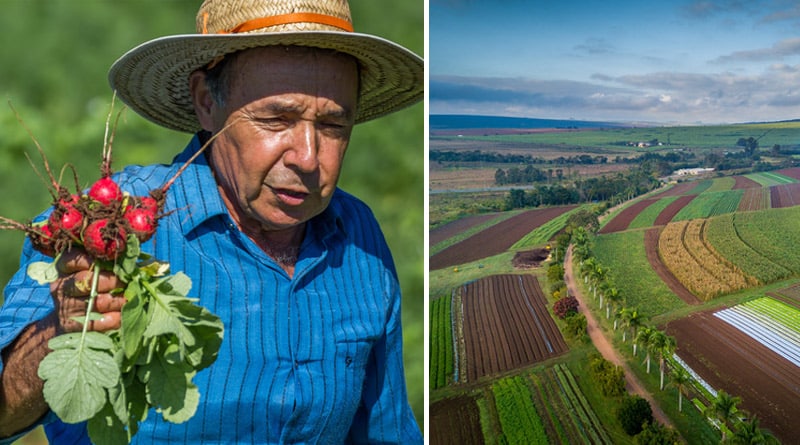 Sítio A Boa Terra: confira 5 motivos para consumir alimentos orgânicos