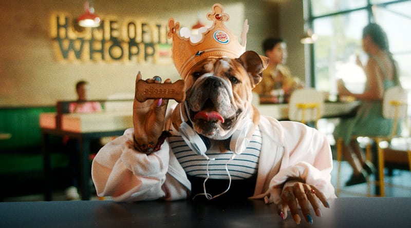 BK lança Dogpper, o Whopper para cachorro