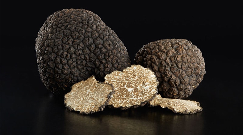 Trufas: conheça os diamantes da gastronomia