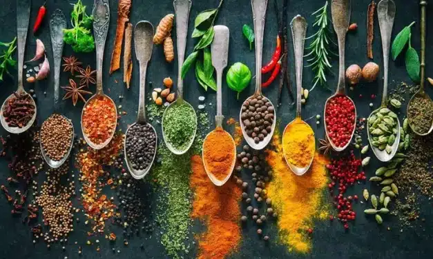 12 melhores cursos de culinária online – 2024