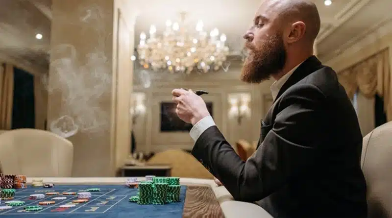 Portal com informações sobre casino - informações interessantes