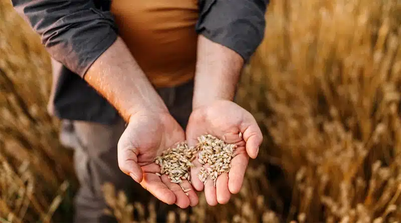 Conflito no Leste Europeu encarece preço das commodities mundo afora