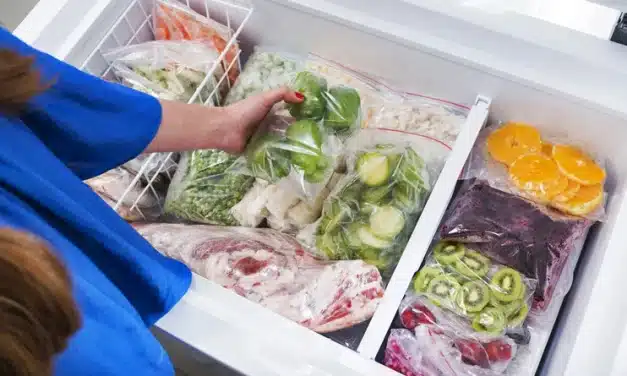 Veja 4 curiosidades sobre freezer horizontal