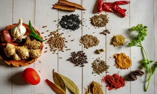 Como iniciar um blog de culinária em 2022